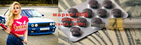 сатива Ессентукская