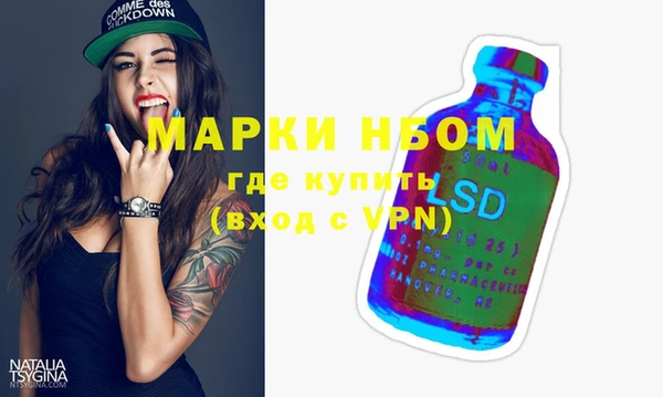 сатива Ессентукская