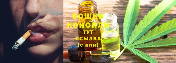 сатива Ессентукская