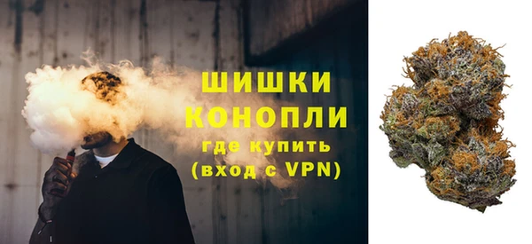 сатива Ессентукская