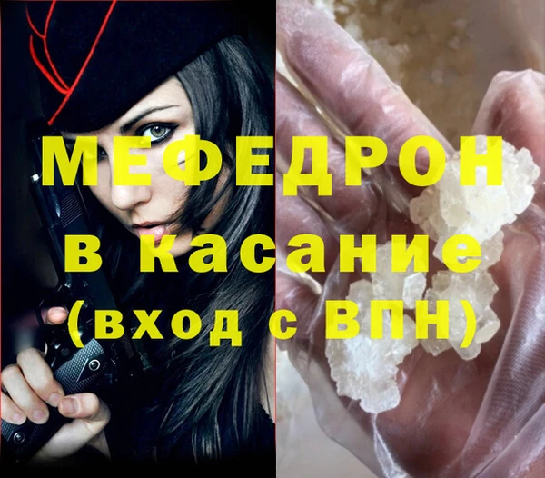 сатива Ессентукская