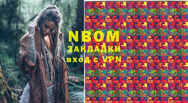 сатива Ессентукская
