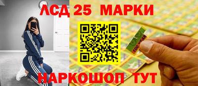 амф Кандалакша