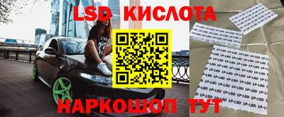 амф Кандалакша