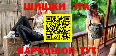 мдпв Камышлов