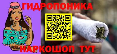 амф Кандалакша
