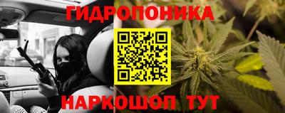 амф Кандалакша
