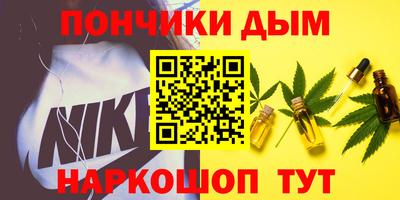 мдпв Камышлов