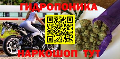 мдпв Камышлов