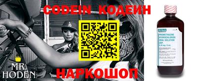 мдпв Камышлов