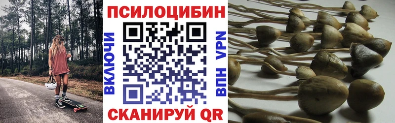 хочу   Муром  кракен как зайти  Псилоцибиновые грибы прущие грибы 