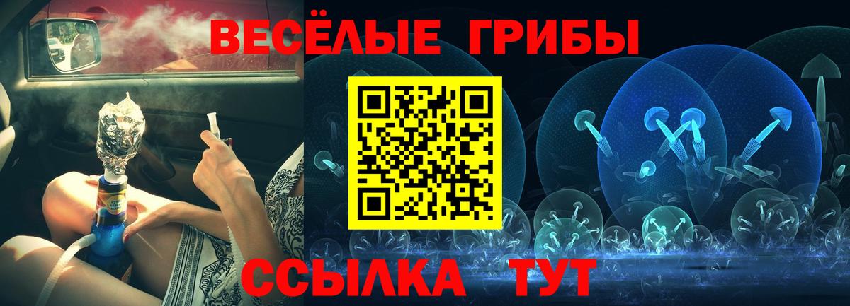 Галлюциногенные грибы прущие грибы  Псилоцибиновые грибы GOLDEN TEACHER  Муром 