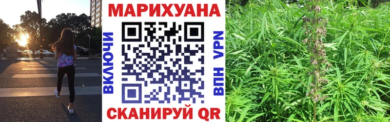 KRAKEN ССЫЛКА  Муром  Шишки марихуана план 
